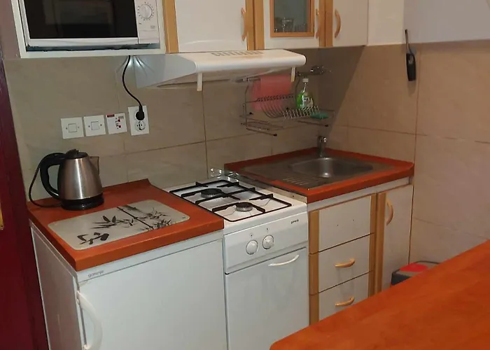 Vila Zlata Апартаменты *