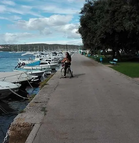 Vila Zlata Пунат