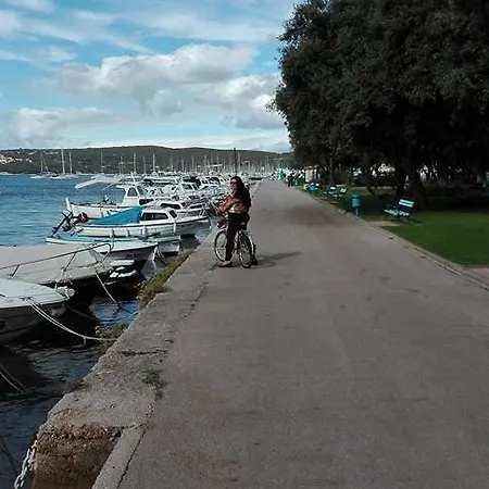 Vila Zlata 푸나트